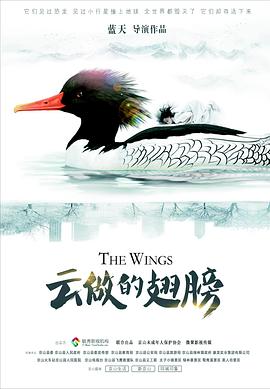 云做的翅膀高清完整版免费在线观看