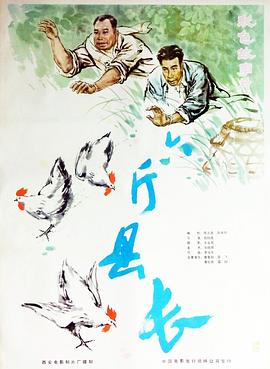 六斤县长高清完整版免费在线观看