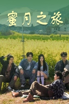蜜月之旅免费高清完整版在线观看