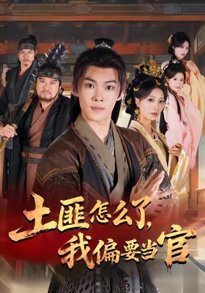 土匪怎么了，我偏要当官土匪怎么了，我偏要当官免费高清完整版在线观看