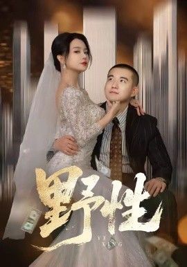 野性,分手后,顶头上司要嫁我